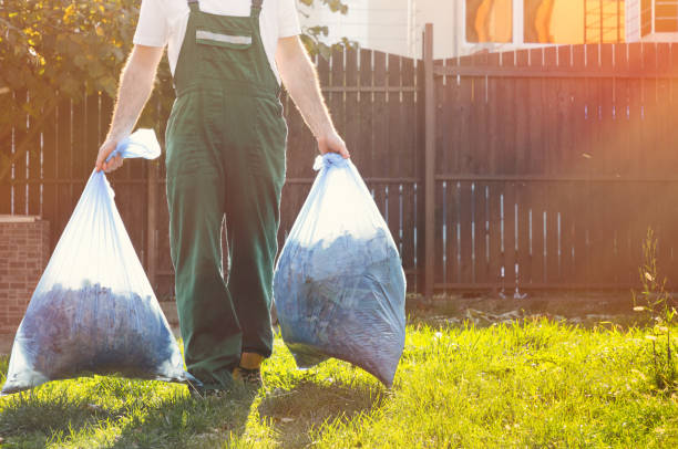Best Carpet Removal and Disposal  in Coleraine, MN